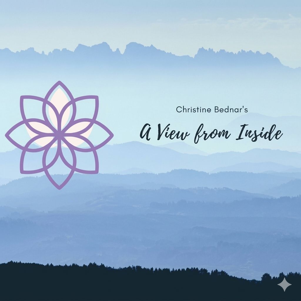 A View From Inside logo